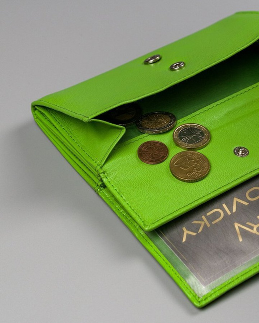 Duży portfel damski zielony Cavaldi RD-08-GCL MINT